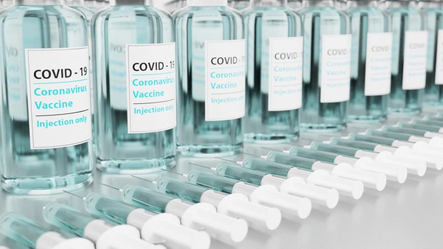 Americans are debating over the use of the new COVID-19 vaccines available. The Loy Norrix community shares their thoughts on the COVID-19 vaccine.