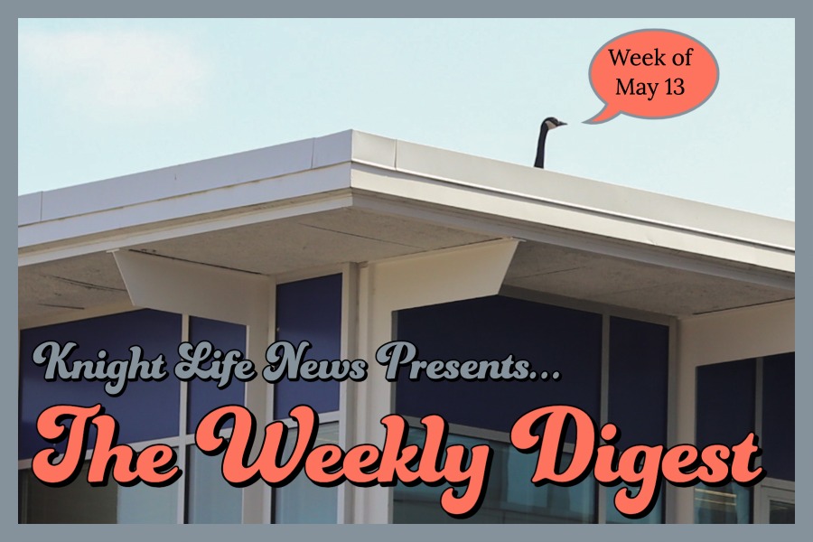 May 13 Weekly News Digest: Through the Views presentations, Women’s Health Protection Act and Summit of the Americas