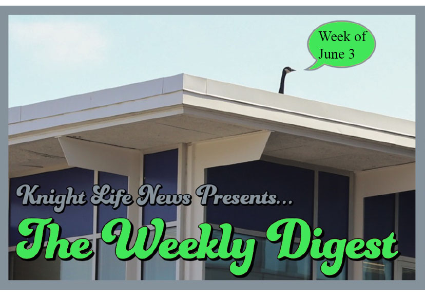 Weekly digest June 3-1 copy