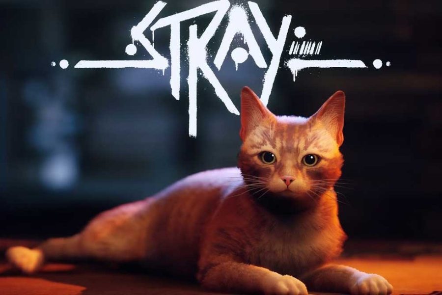 “Stray”: The first good non-action game in a long time