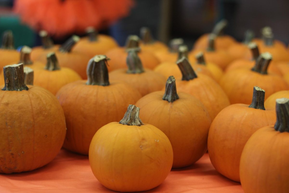 National Honor Society organizes annual pumpkin painting party