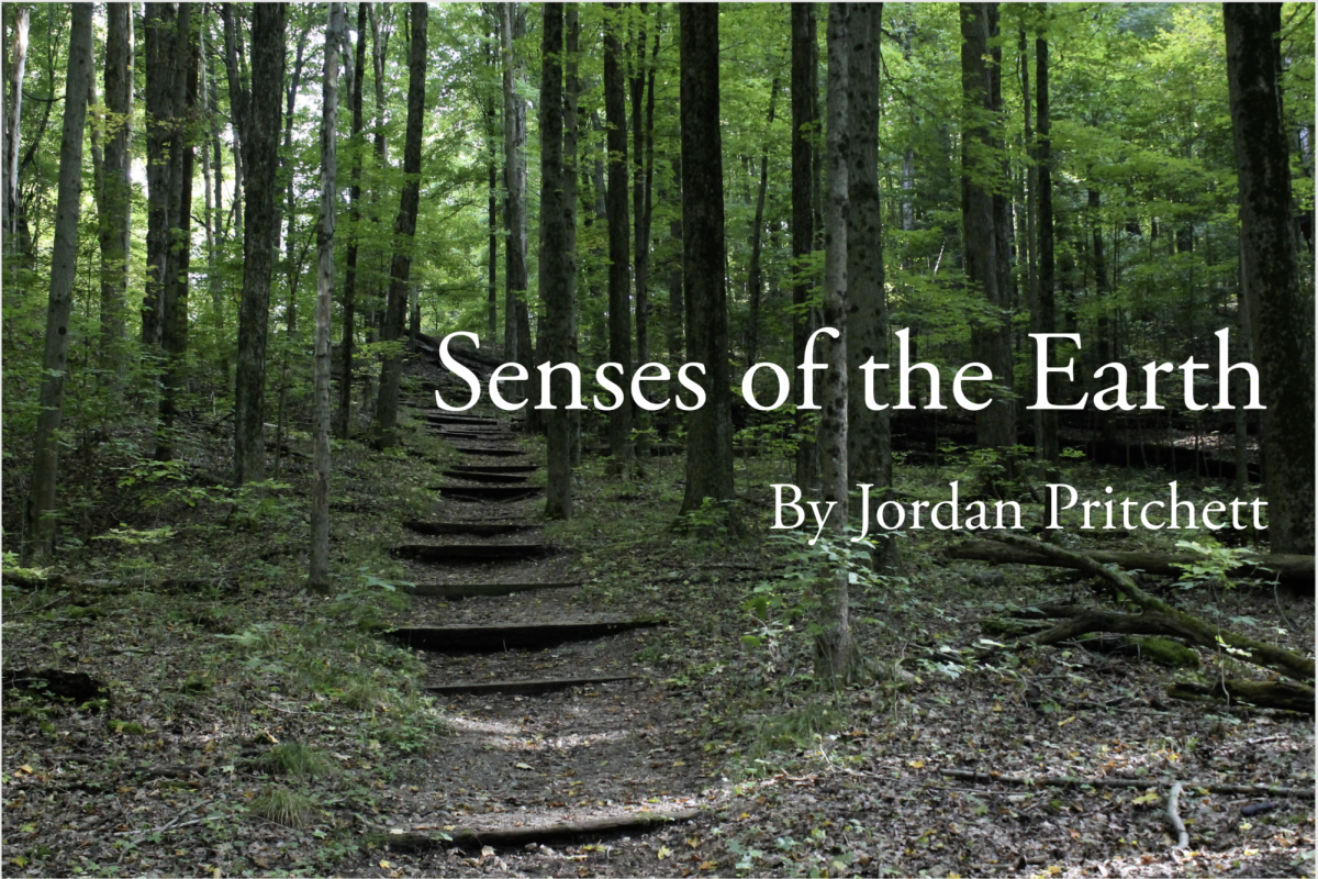 Senses of the Earth