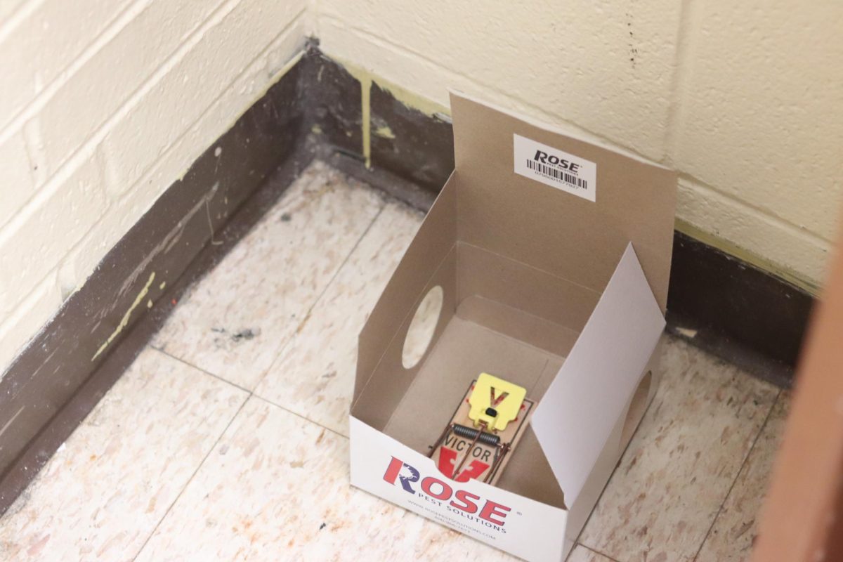 Teacher Dan Lafferty received new mouse traps that allow for easy removal of the rodents in a box. These mouse traps are meant to decrease the number of rodents found roaming in Laffertys classroom. 